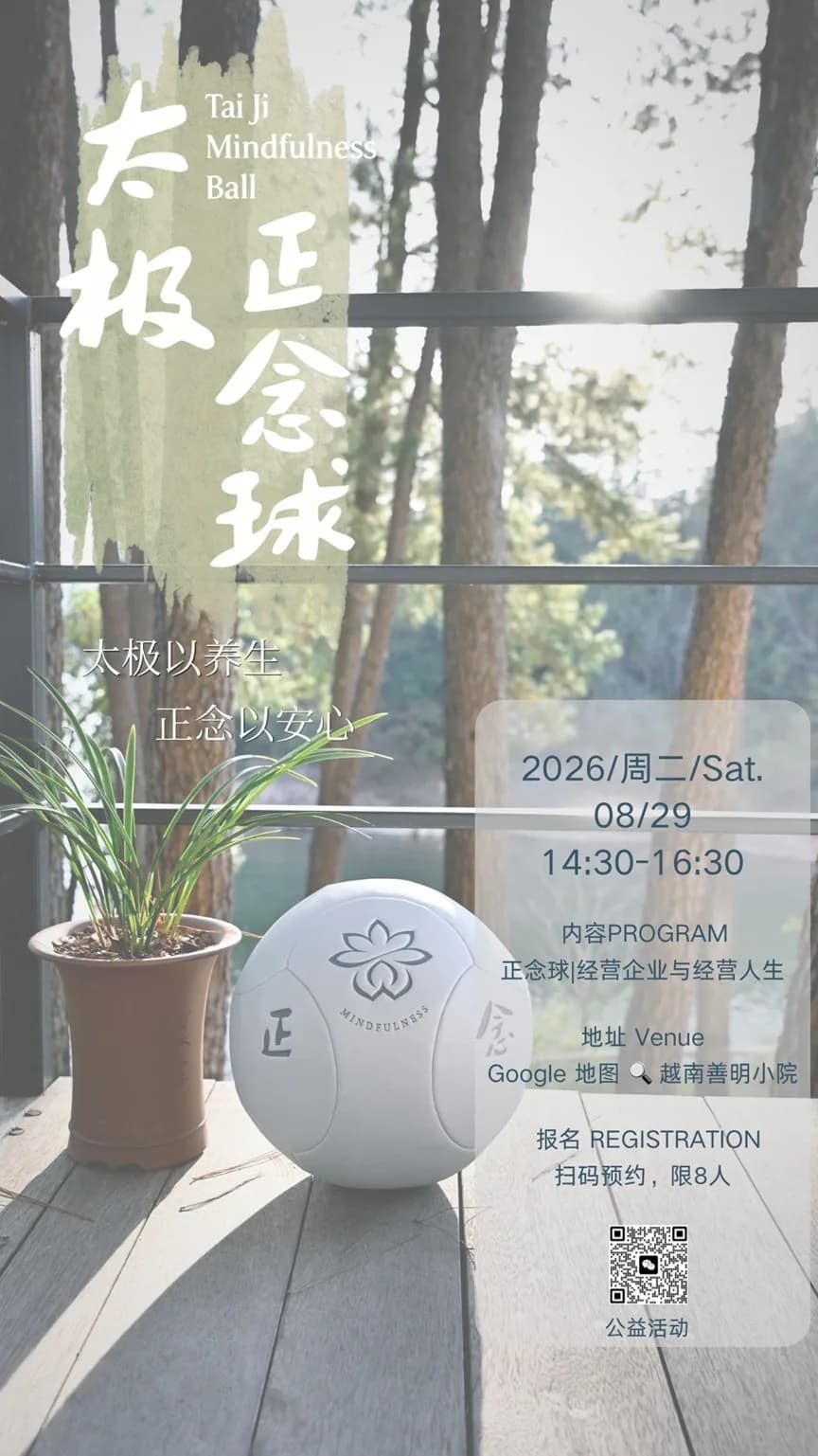木质平台上放置正念球和盆栽植物,背景为树林