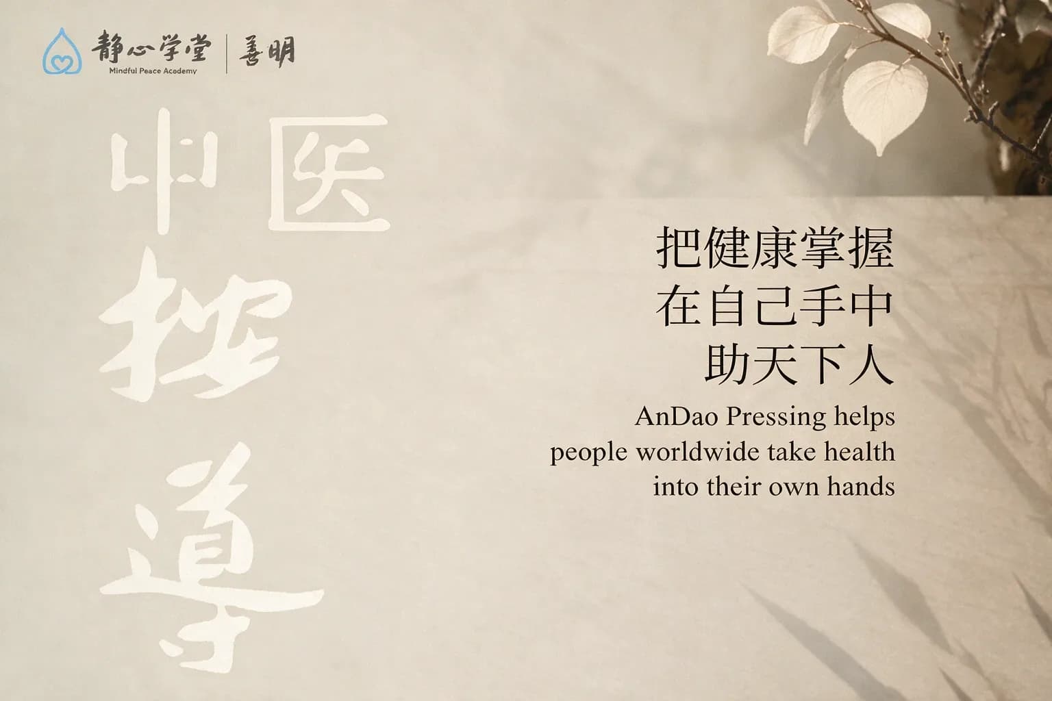 Mindful Peace Academy宣传海报,展示AnDao Pressing课程信息及时间安排